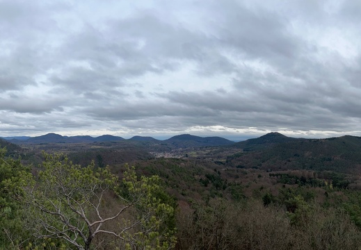 24-03-01 13-36-59 8877